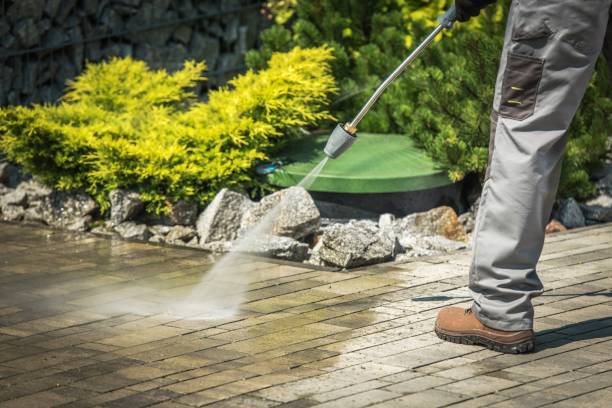 Best Driveway Pressure Washing  in Wellsburg, WV