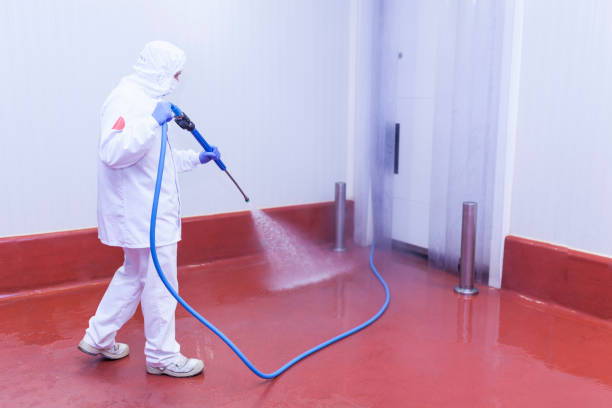 Best Roof Washing  in Wellsburg, WV