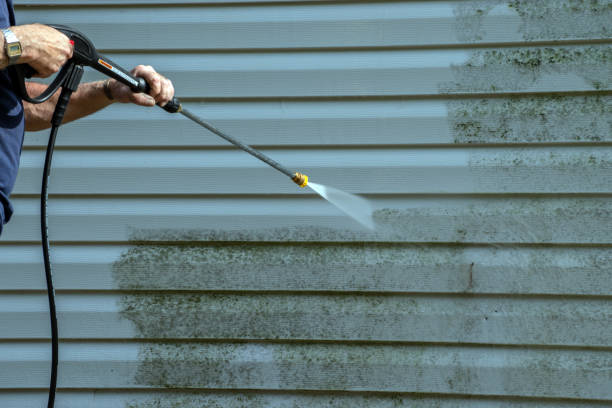 Best Rust Removal  in Wellsburg, WV